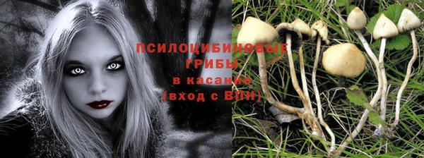 apvp Баксан